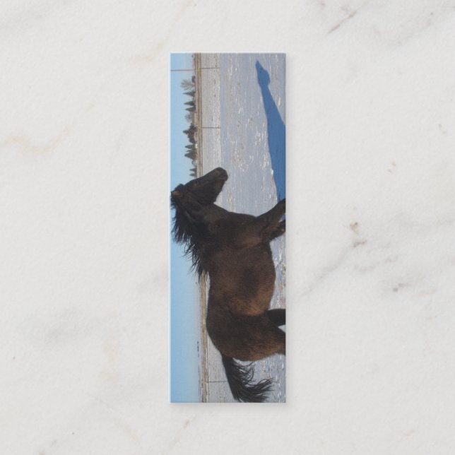 BOOKMARK - Horse Mini Business Card (Front)