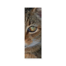 Bookmark or profile card "Cats Rule"