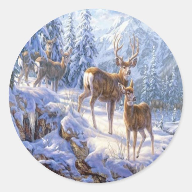 Bookplates & Labels (Front)