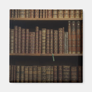 books covers bookcase old library magnet