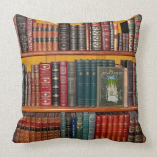books library bookshelf bookshop cushion