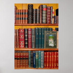 books library bookshelf bookshop poster