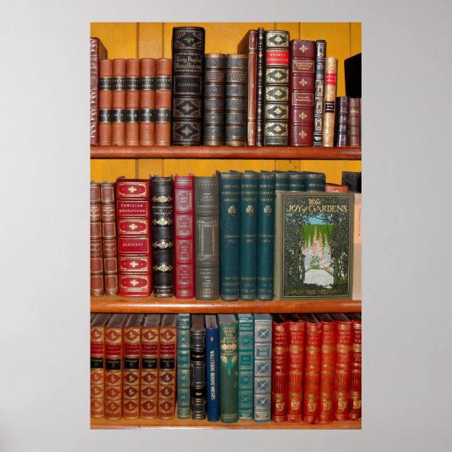 books library bookshelf bookshop poster (Front)