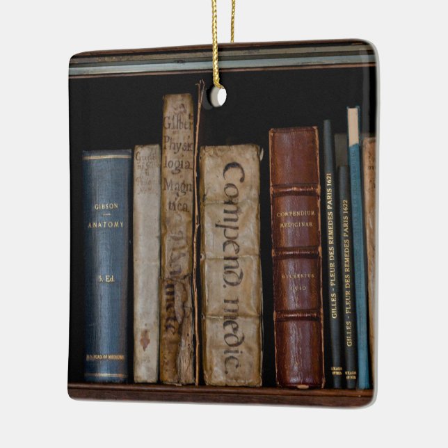 Books on Open Shelf Ceramic Tree Decoration (Left)