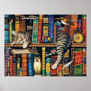 Bookshelf Cat Library cats Poster
