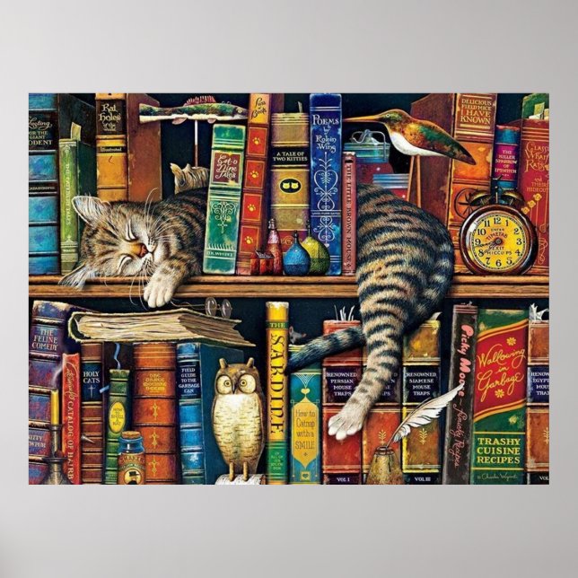 Bookshelf Cat Library cats Poster (Front)