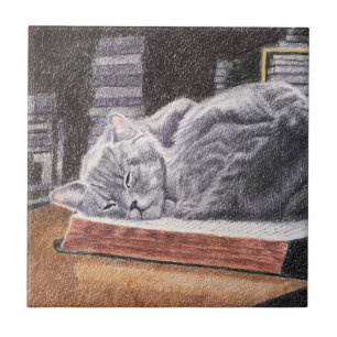 Bookstore Cat Ceramic Tile