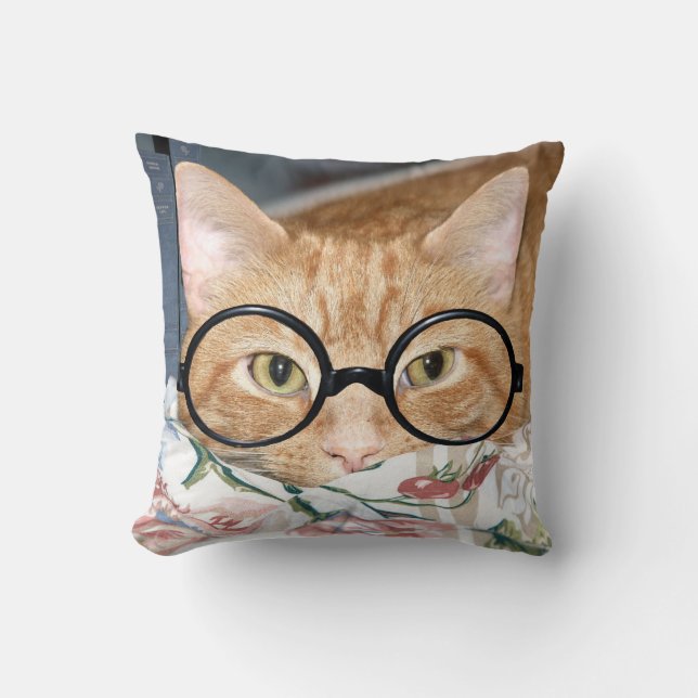 Bookworm tabby cushion (Front)