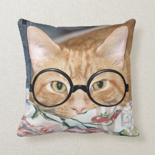 Bookworm tabby cushion