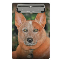 "Boomer" Red Heeler Dog Mini Clipboard