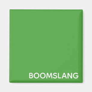 Boomslang green colour name magnet