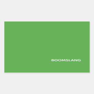 Boomslang green colour name rectangular sticker