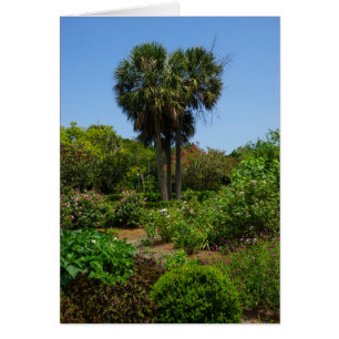 Boone Hall Garden