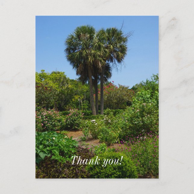 Boone Hall Garden Postcard (Front)
