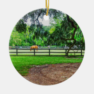 Boone Hall Stables Ceramic Ornament