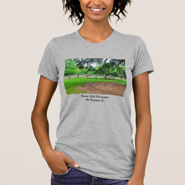 Boone Hall Stables T-Shirt (Front)