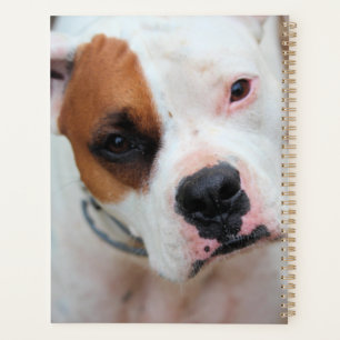 Boop 3 Ring Binder Planner