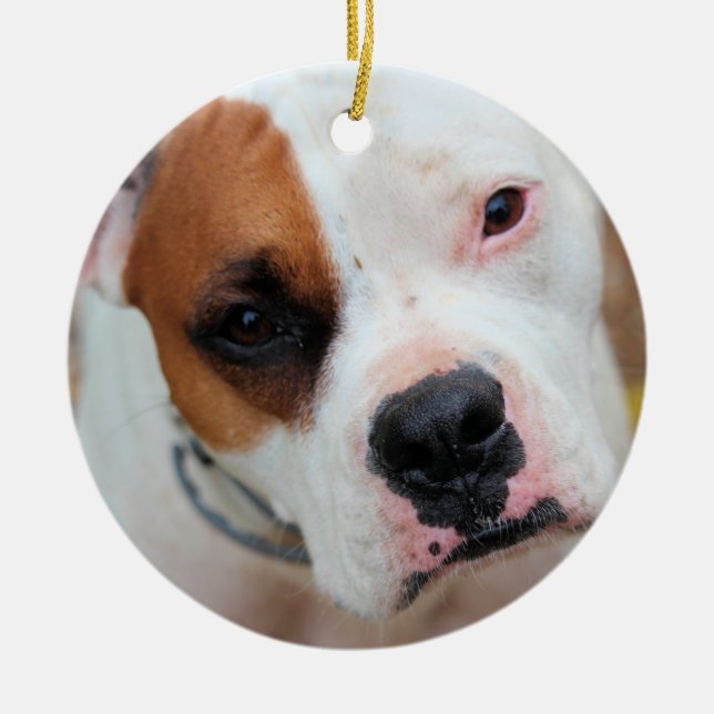Boop Ceramic Ornament (Front)