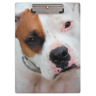 Boop clipboard