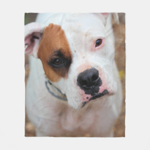 Boop  fleece blanket