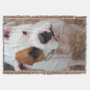 Boop  fleece blanket