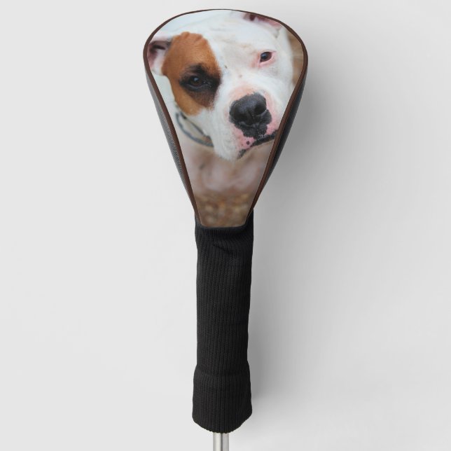Boop Golf Head Cover (Front)