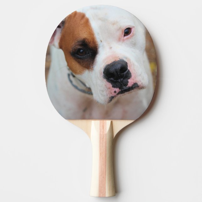 Boop Ping Pong Paddle (Front)