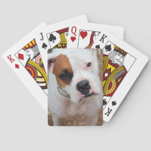 Boop Playing Cards