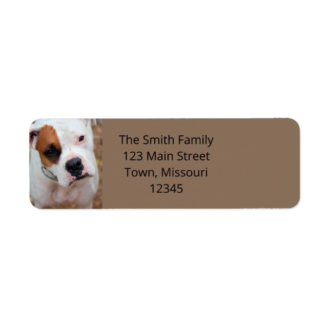 Boop Return Address Label (Front)