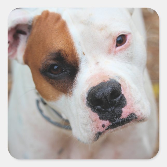 Boop Square Sticker (Front)
