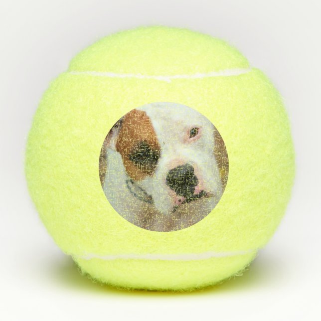 Boop Tennis Balls (Front)