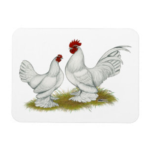 Booted Bantams Magnet