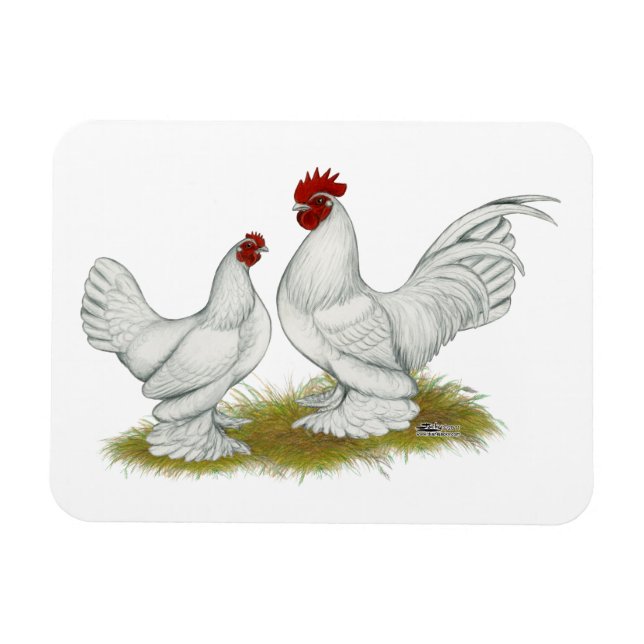 Booted Bantams Magnet (Horizontal)
