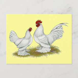Booted Bantams Postcard
