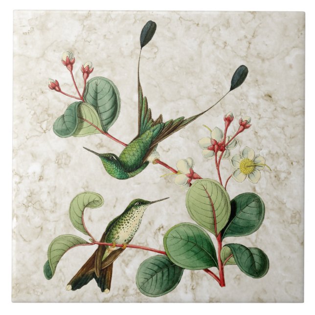 Booted Racket Tail Hummingbirds Ceramic Tile (Front)