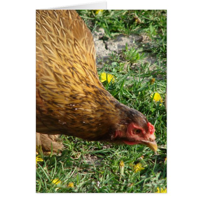 Boots The Hen Blank Inside Greeting Card (Front)