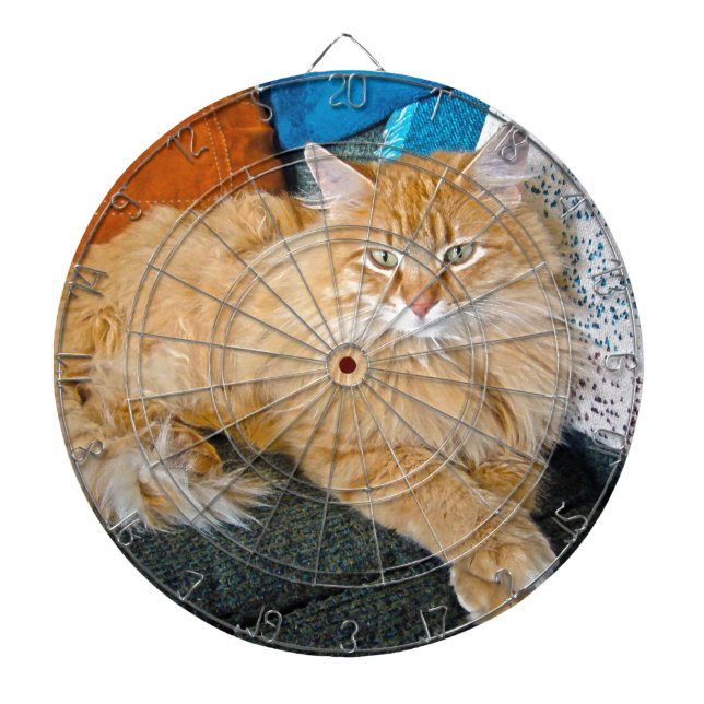 Boppy Dartboard (Front)