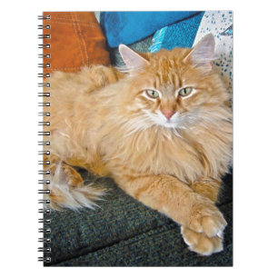 Boppy Notebook