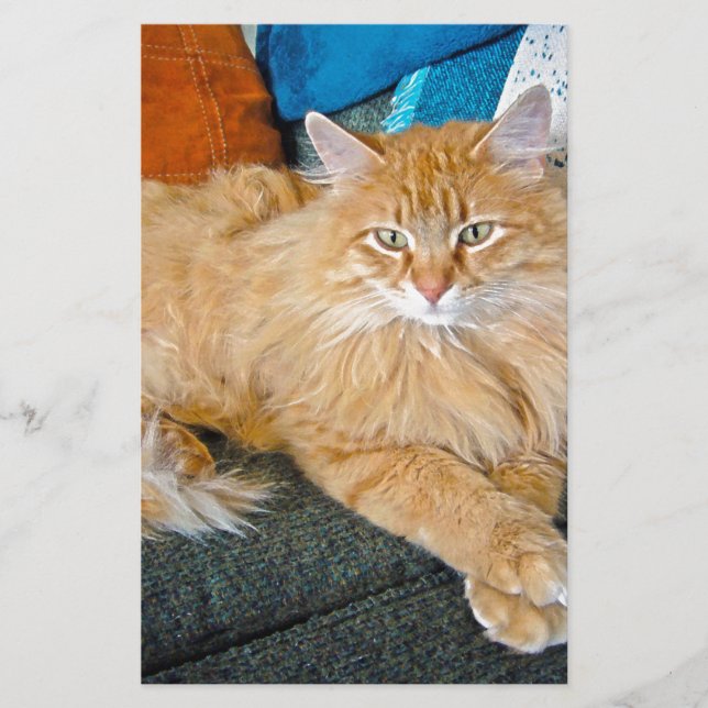 Boppy Stationery (Front)