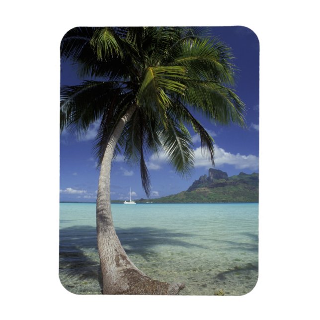 Bora Bora, French Polynesia Mt. Otemanu seen Magnet (Vertical)