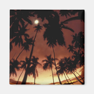 Bora Bora, French Polynesia Sunset shot through Magnet