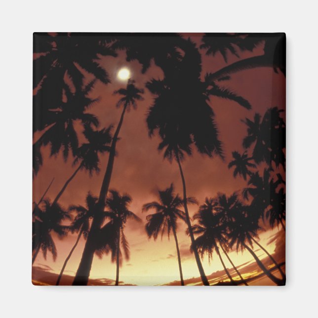 Bora Bora, French Polynesia Sunset shot through Magnet (Front)