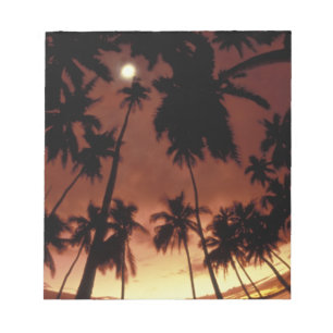 Bora Bora, French Polynesia Sunset shot through Notepad