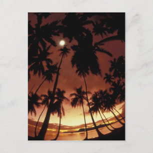 Bora Bora, French Polynesia Sunset shot through Postcard