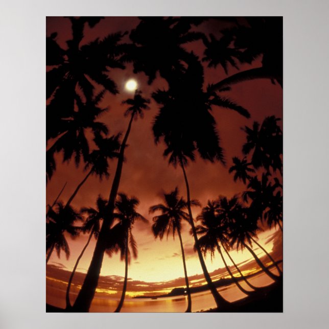 Bora Bora, French Polynesia Sunset shot through Poster (Front)