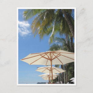 boracay umbrellas blue postcard