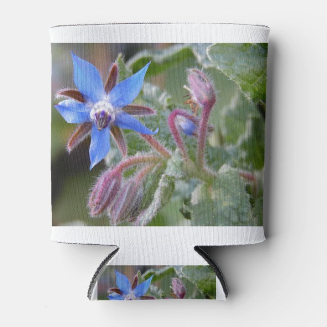 Borage Star Flower Can Cooler (Front)