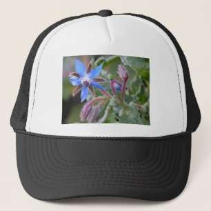 Borage Star Flower Trucker Hat