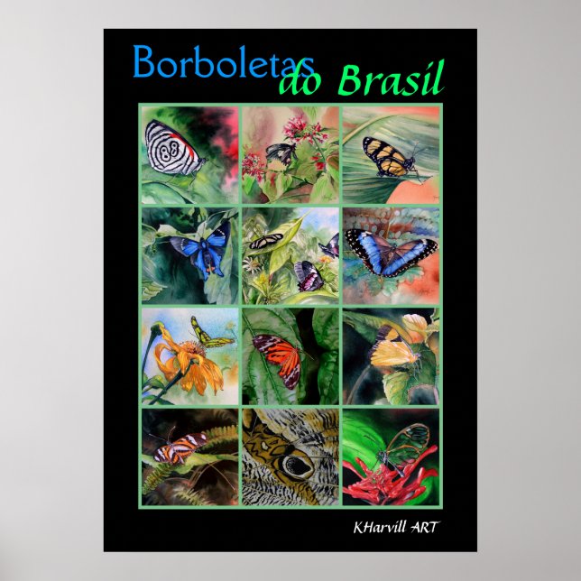 Borboletas do Brasil Poster (Front)