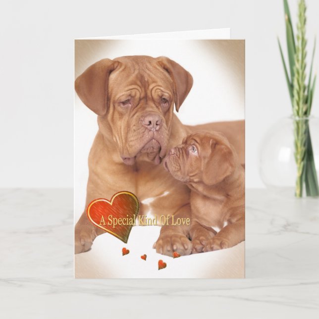 BORDEAUX A SPECIAL KIND OF LOVE HOLIDAY CARD (Front)